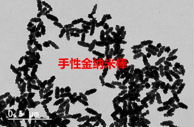 手性金纳米棒（Au-C-NRs）